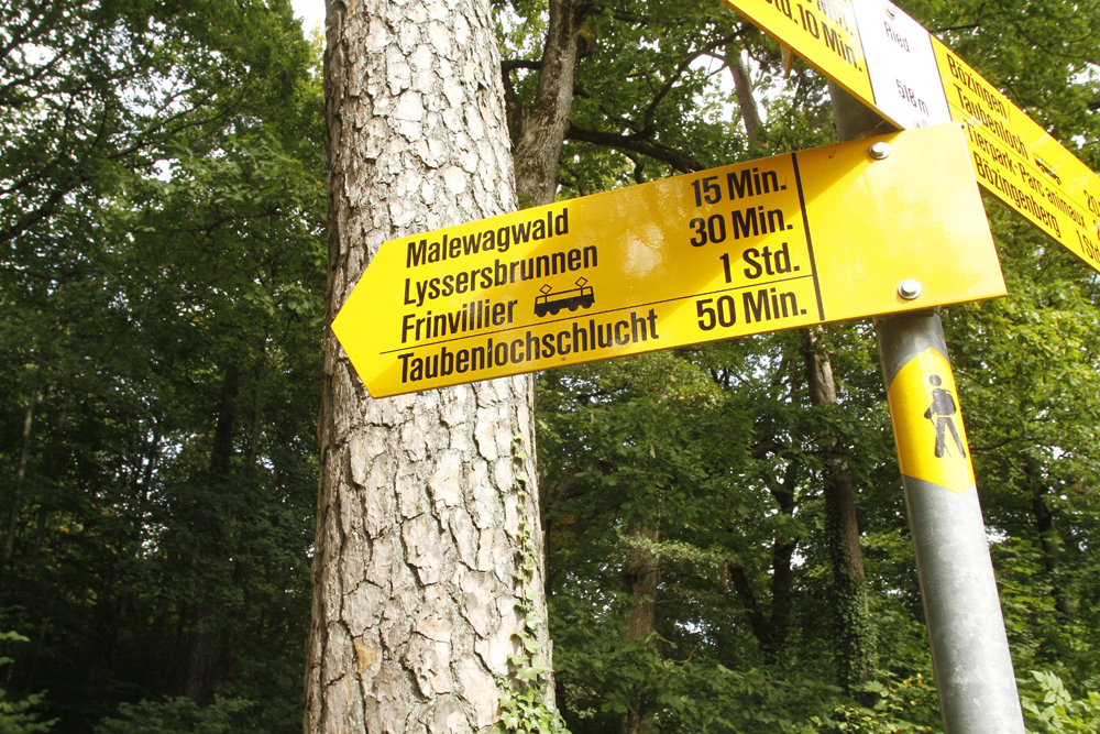 FOTO: PETER GERBER, 17.09.2010, Ried (BE):
Weg zur Taubenschlucht, diesen Weg gin Peter Hans Kneubhl kurz vor seiner Verhaftung