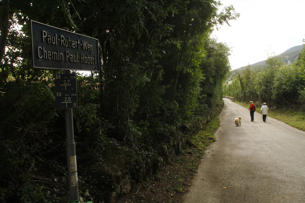 FOTO: PETER GERBER, 17.09.2010, Ried (BE):
Bei diesem Weg im Feld rechts wurde Peter Hans Kneubhl am Freitag Morgen verhaftet